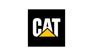 Cat Egypt